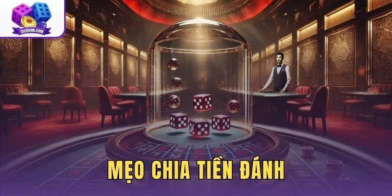 Mẹo Chia Tiền Đánh - Quy Tắc 1-3-2-4 Tránh Trắng Tay